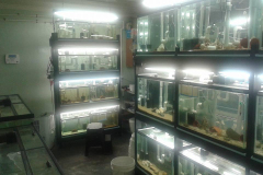 Charles_Credeur_House02