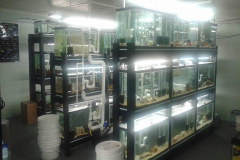 Charles_Credeur_House13