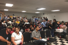 Crowd5