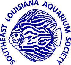 Southeast Louisiana Aquarium Society